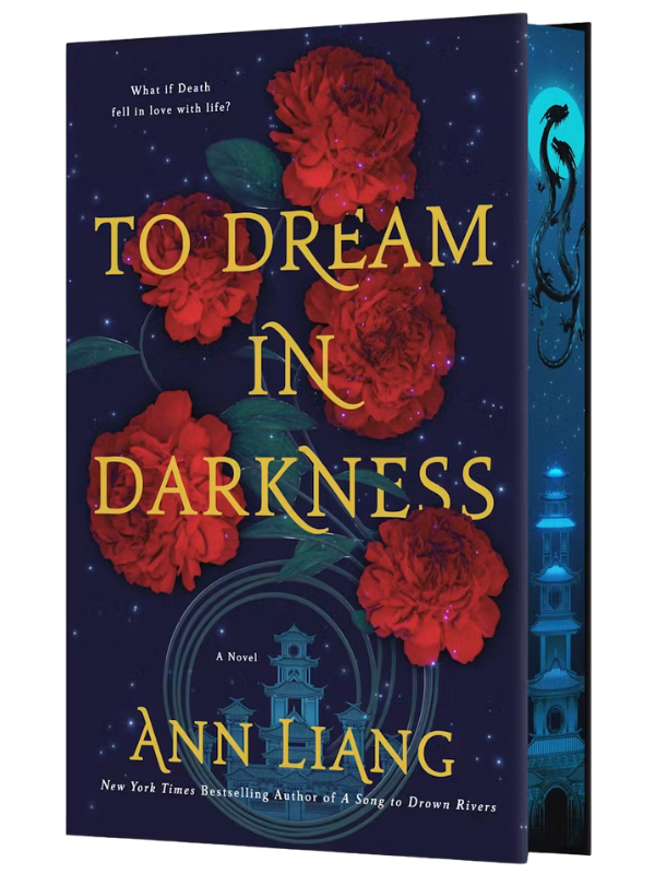 To Dream in Darkness
