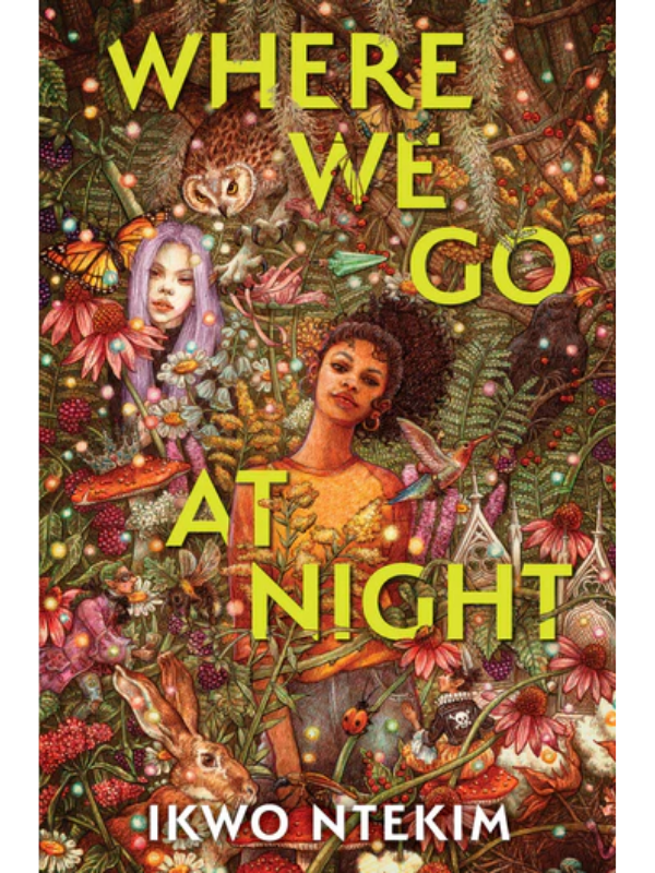 Where We Go at Night