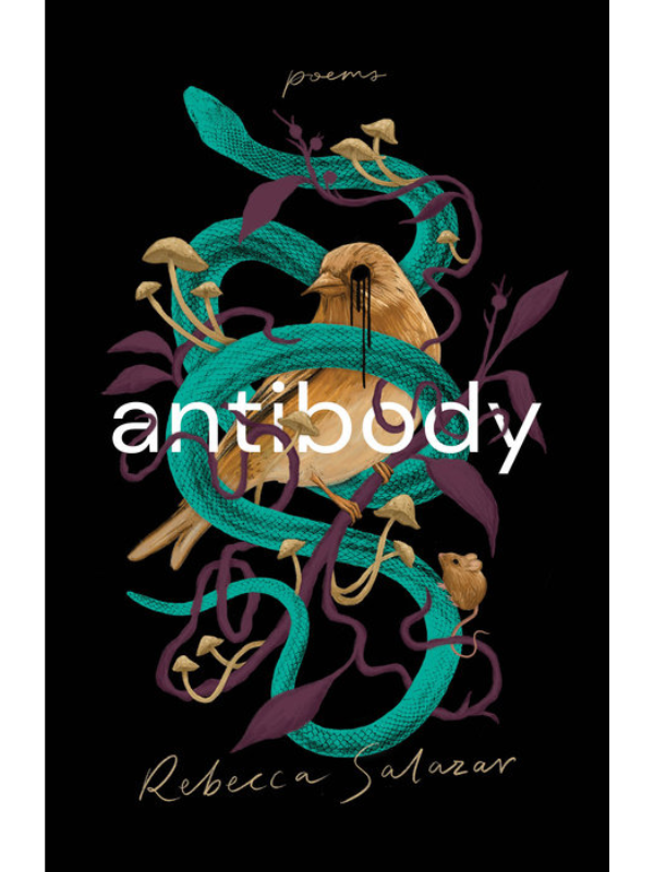 antibody