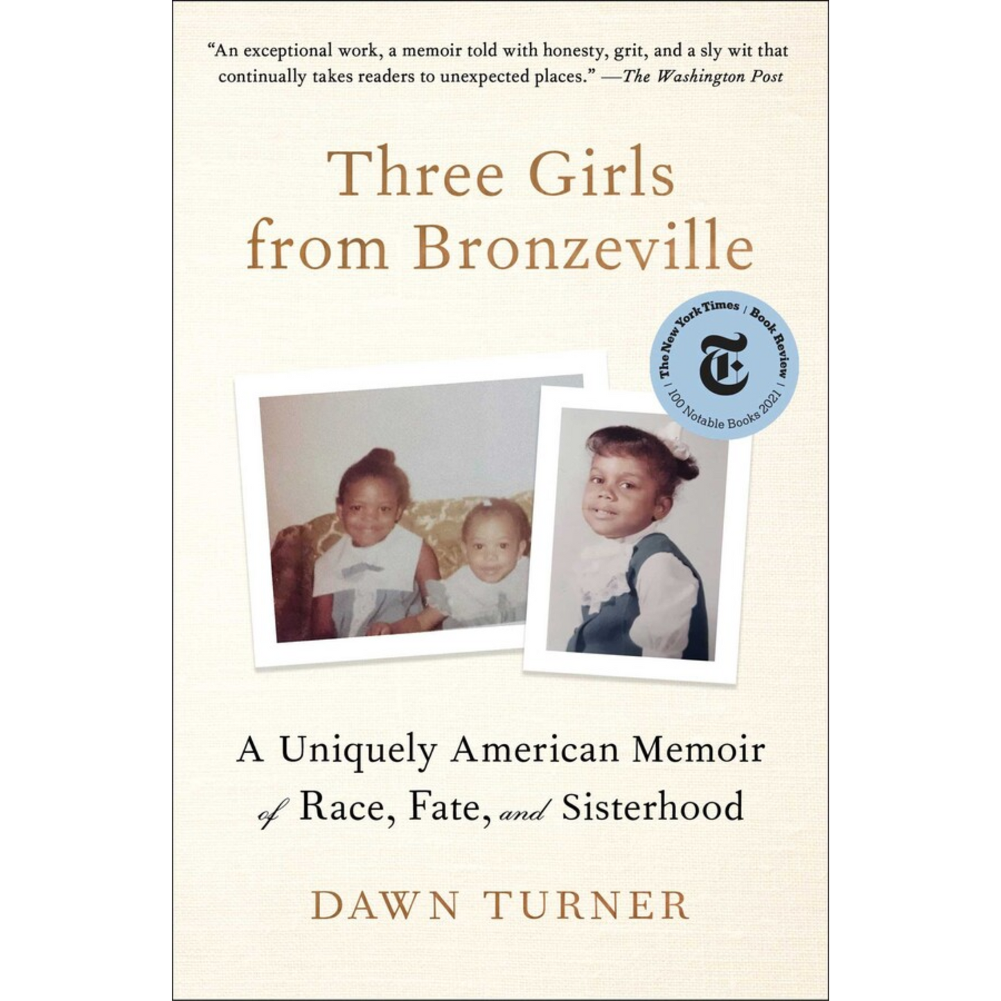 three girls from bronzeville dawn turner pb