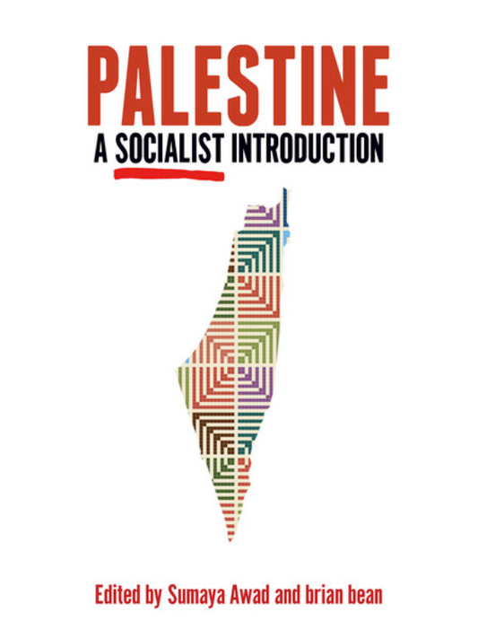 Palestine: A Socialist Introduction