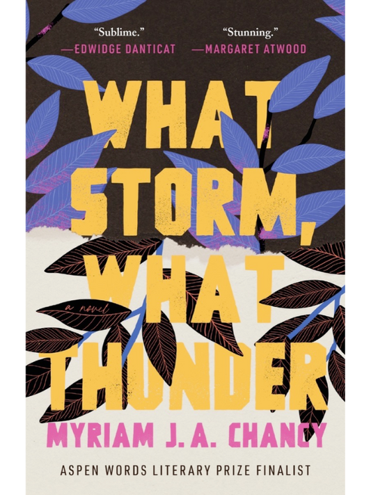 What Storm, What Thunder