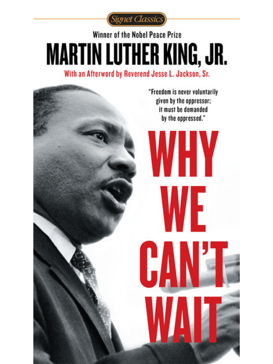 Why We Can't Wait