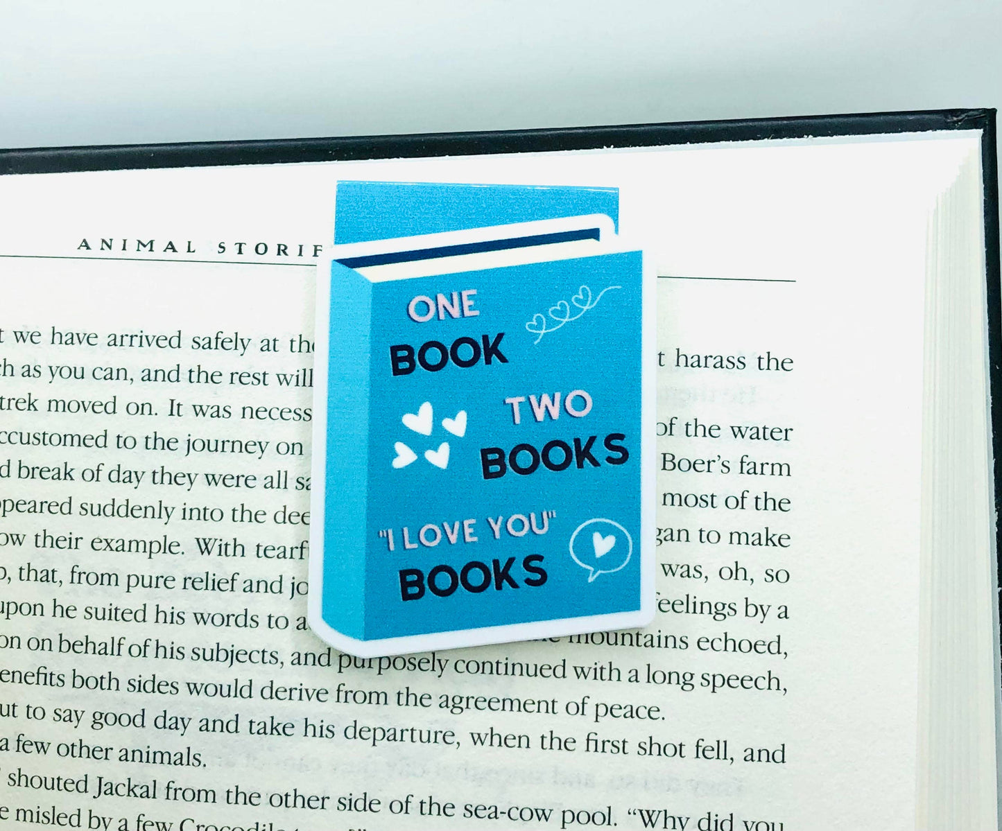 Love and Books Magnetic Bookmark