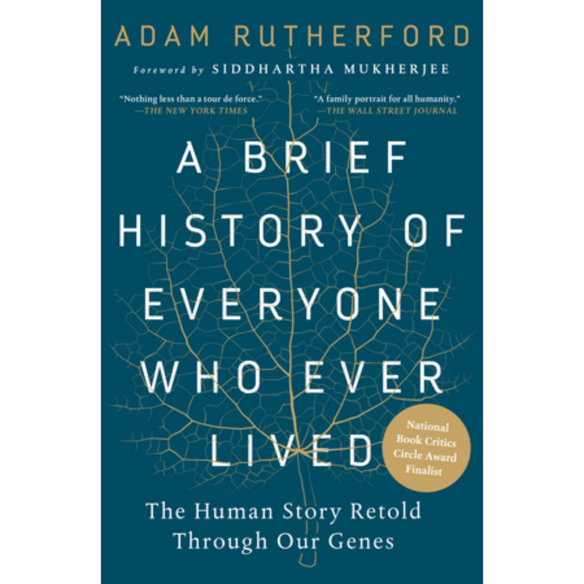 a brief history of everyone who ever lived by adam rutherford paperback