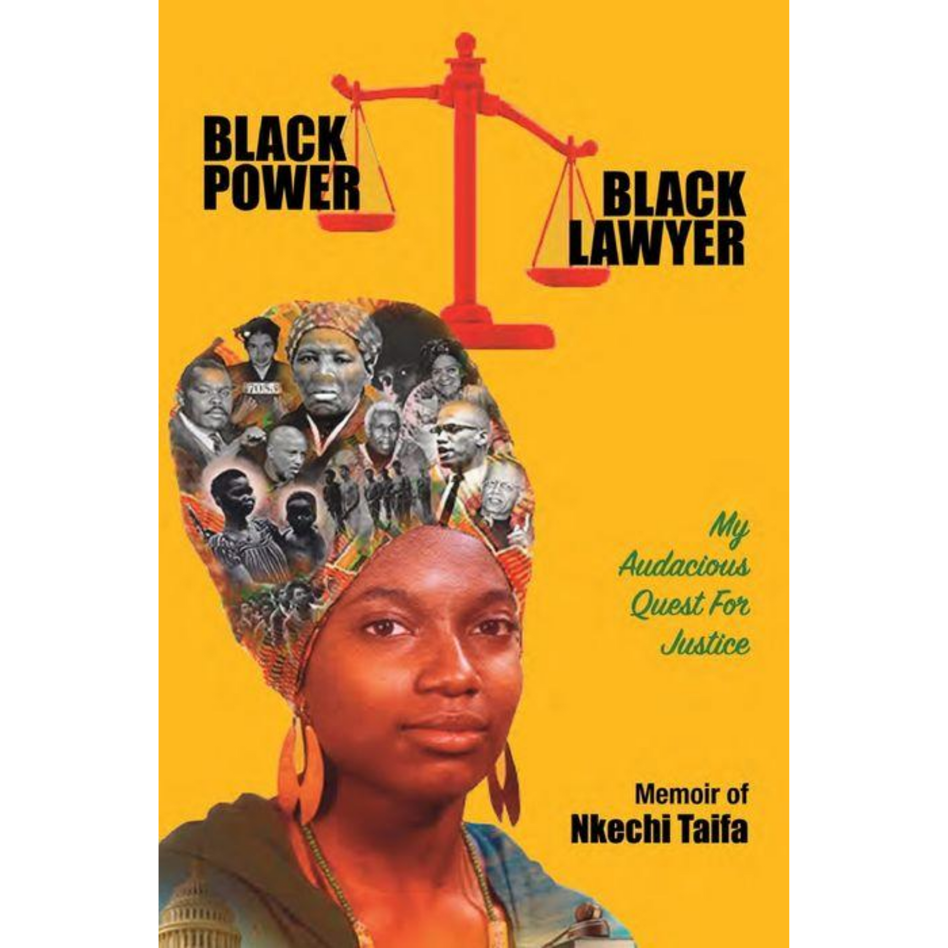 black power black lawyer nkechi taifa