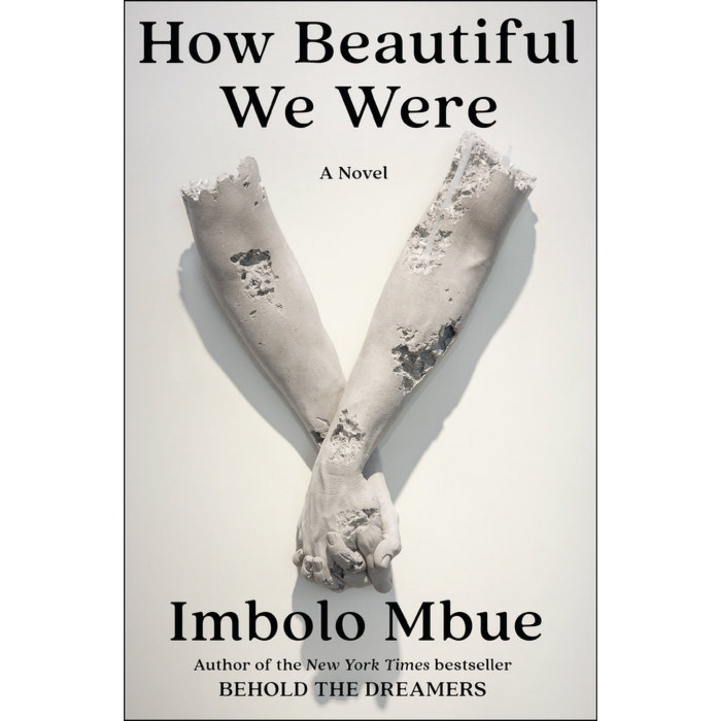 how beautiful we were imbolo mbue
