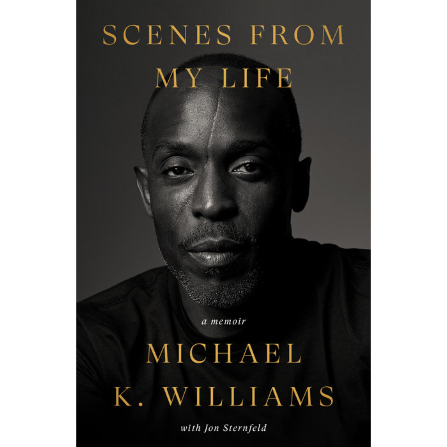 scenes from my life michael k williams