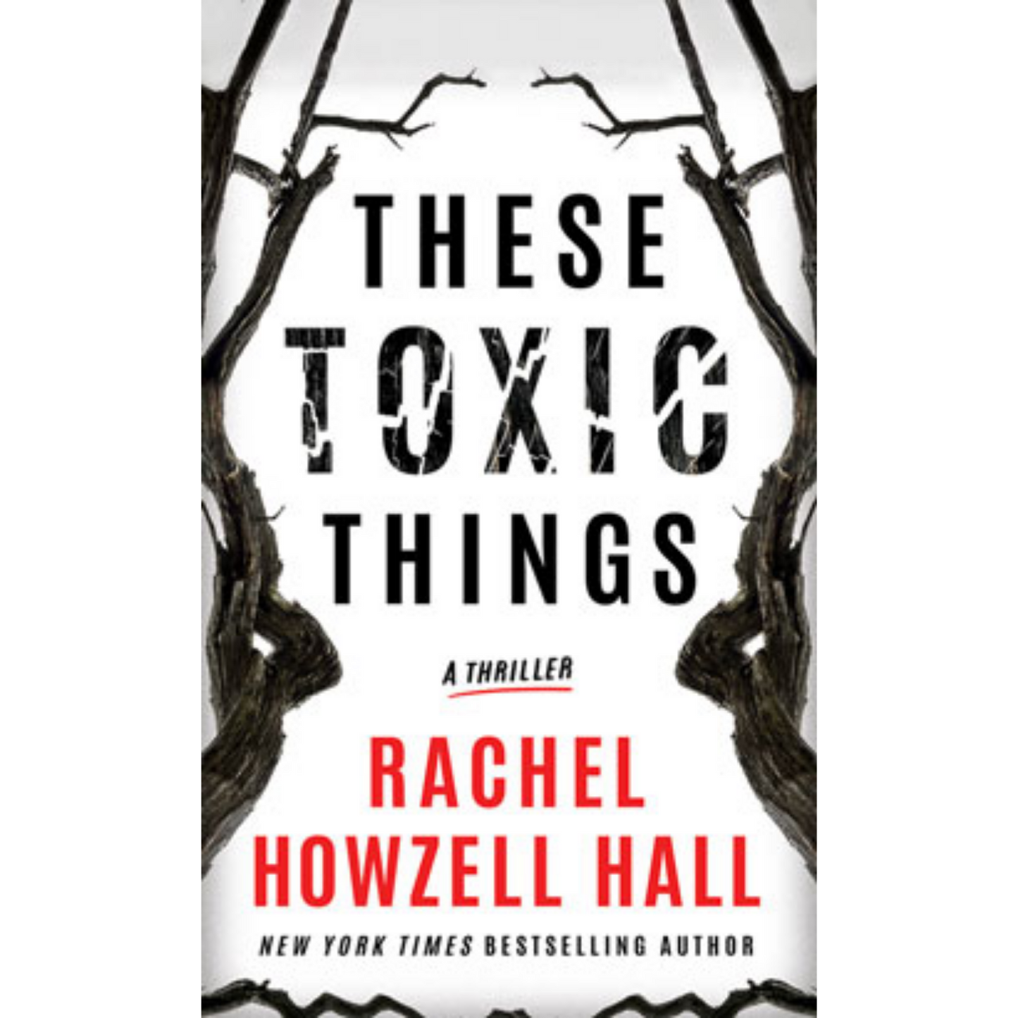 these toxic things rachel howzell hall