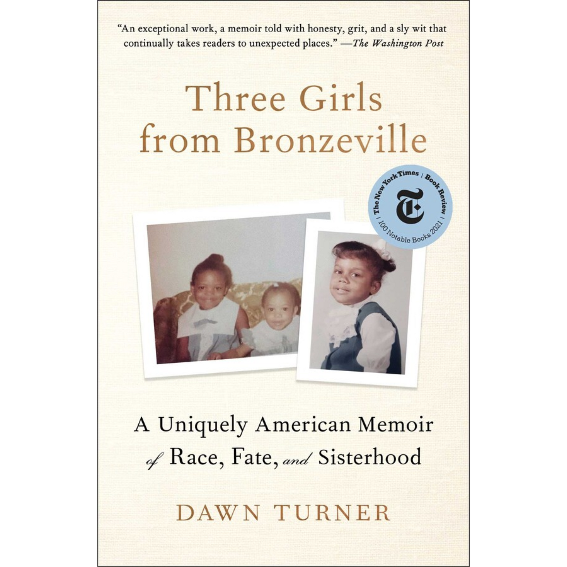 three girls from bronzeville dawn turner pb