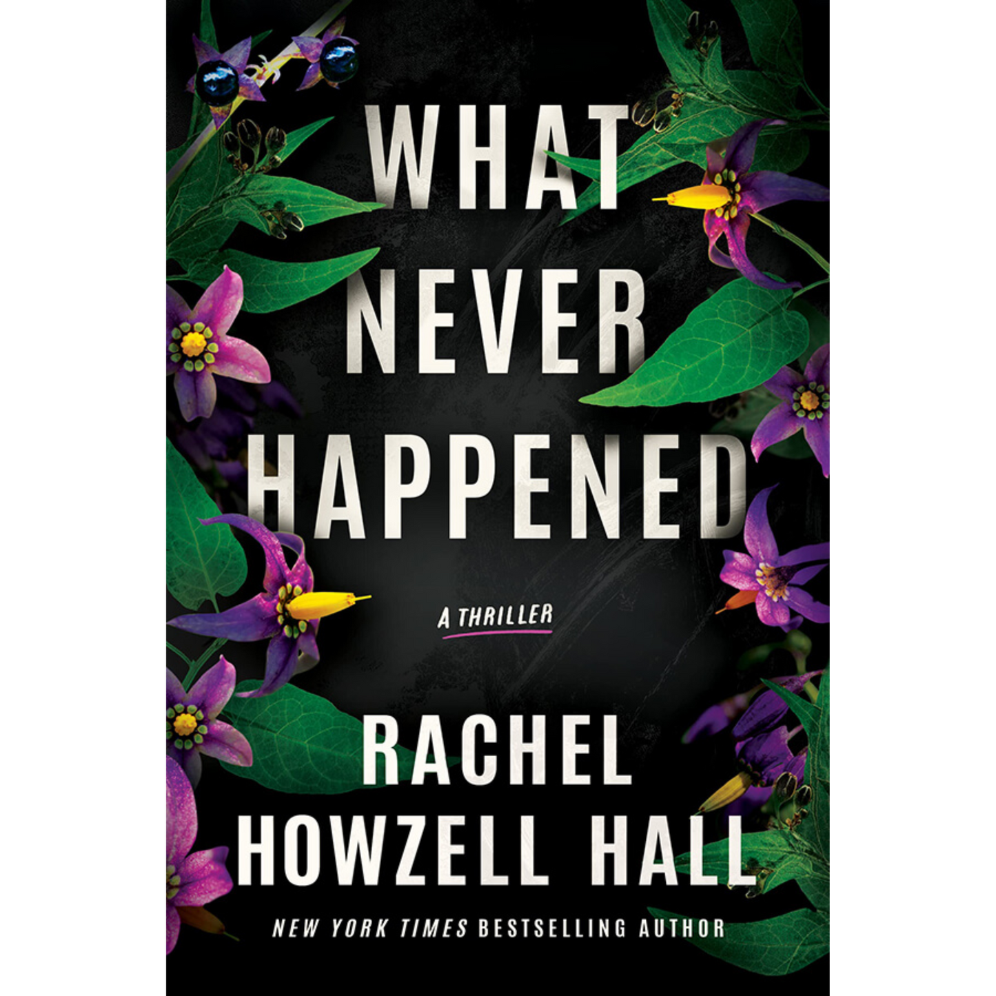 what never happened rachel howzell hall